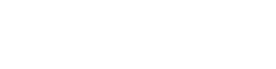 The Therapy Network