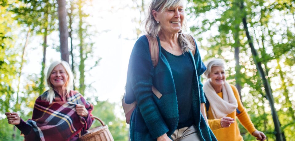 Senior women friends walking outdoors in forest. Senior women friends walking outdoors in forest.