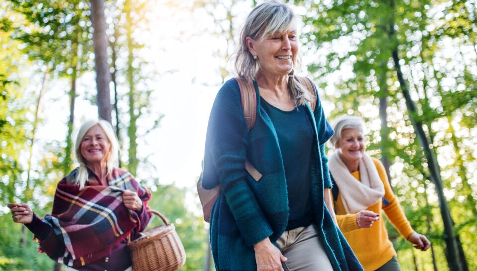 Senior women friends walking outdoors in forest.