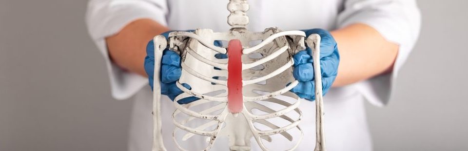 Doctor,Showing,Human,Skeleton,With,Red,Sternum.,Trauma,,Costochondritis,,Pneumonia skeleton with chostochondritis